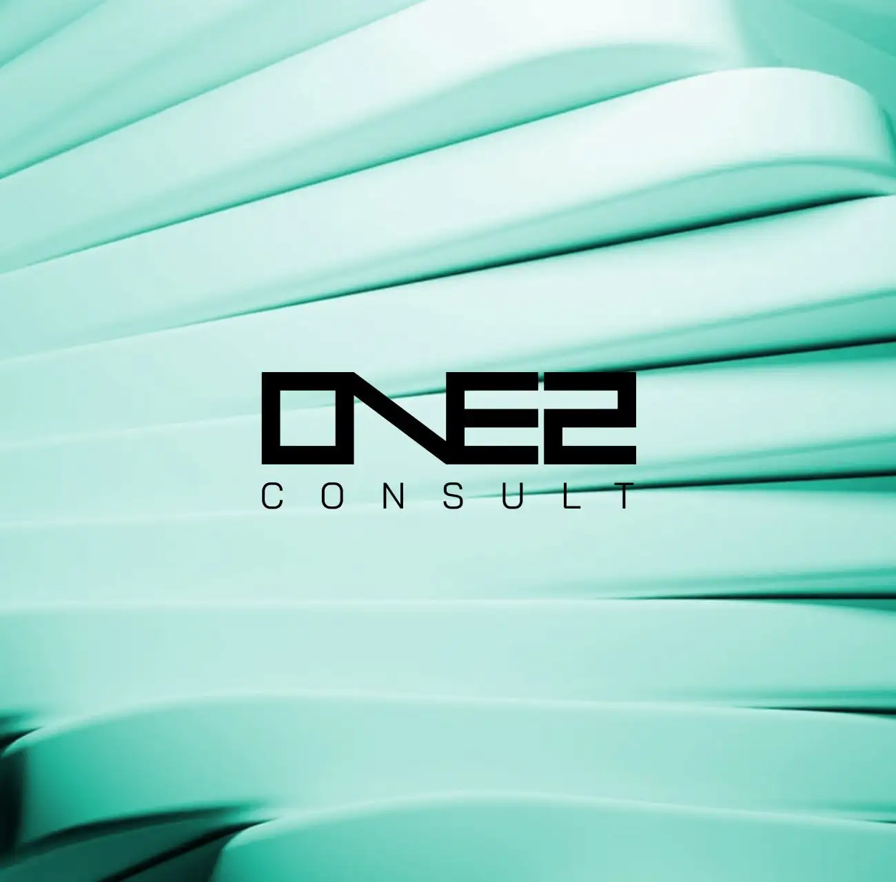 One2 Consult
